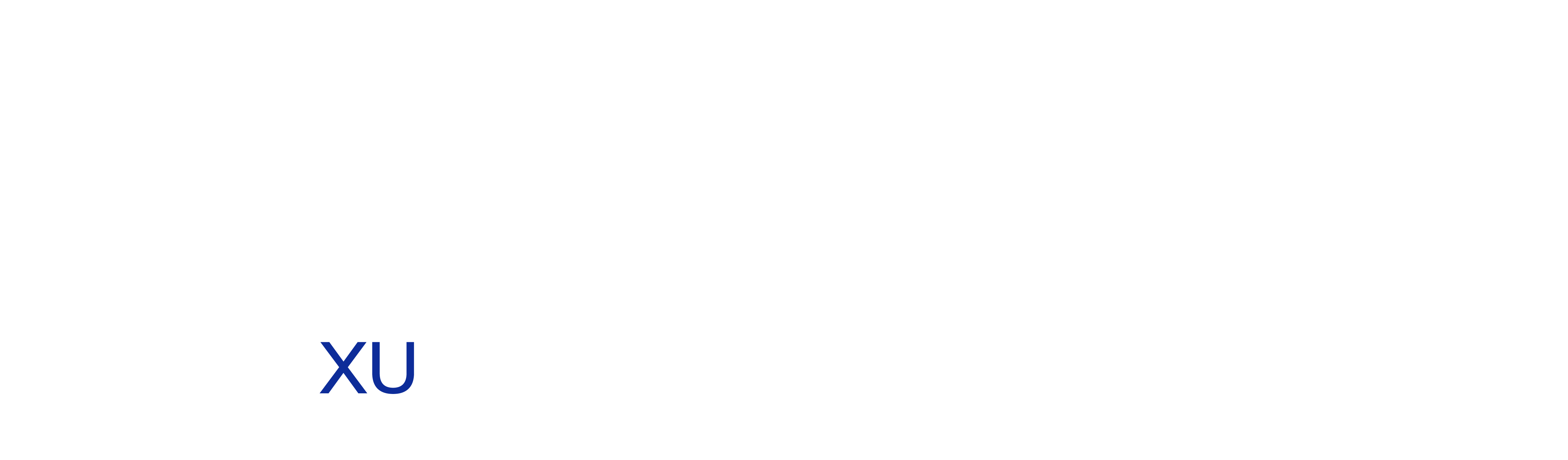 IVAO Partner VA